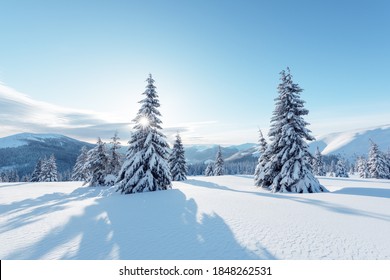 Fantastic winter landscape with snowy trees. Carpathian mountains, Ukraine, Europe. Christmas holiday background. Landscape photography - Powered by Shutterstock