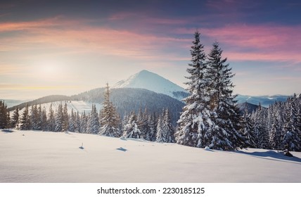 Fantastic winter sunset in the mountain. Panoramic view of the picturesque snowy winter landscape. Snow covered fir trees on the background of mountain peak. Christmas holiday concept - Shutterstock ID 2230185125