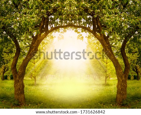 Fantasy apple trees garden with natural arch entrance and sun rays, magical door gates in fabulous green forest, environmental eco background with empty copy space, mysterious summer nature backdrop
