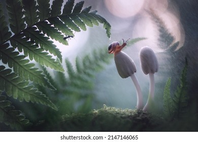Fantasy beautiful magical fairy meadow with mushrooms and snail, in a magical fairytale enchanted forest, on a mysterious natural background,an elegant artistic exquisite image of the beauty of nature