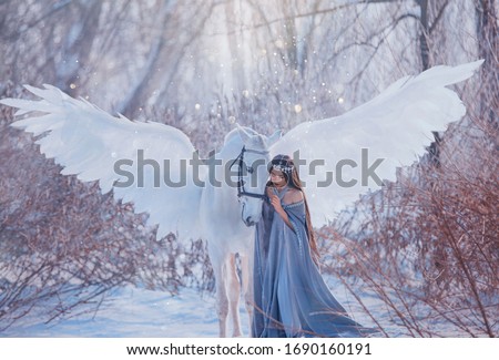 fantasy beautiful woman goddess stroking mythical Pegasus, white magic wings. Brunette Long flowing hair medieval princess vintage clothing cape. elf silver diadem tiara winter nature snowy forest