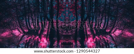 Fantasy creature in another world. Stranger forest in a fog. Abstract background for wallpaper. Paranormal mystic atmosphere. Mysterious fairy woods lit by moonlight. 