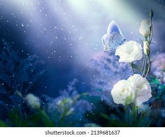 Fantasy Eustoma flowers garden and blue butterfly in enchanted fairy tale dreamy forest, fairytale blooming tender roses in magical night darkness on mysterious dark floral background with rays.