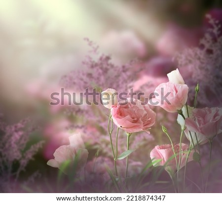 Fantasy Eustoma flowers garden in enchanted fairy tale dreamy forest with fabulous fairytale blooming tender roses in early foggy magical morning on mysterious pink floral background with sun rays.