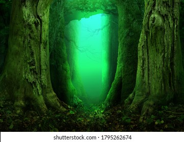 Fantasy forest with mysterious light on background. Old mossy massive trees. Green blue turquoise glow in dark enchanted fairytale woodland