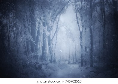 fantasy forest with snow falling in winter