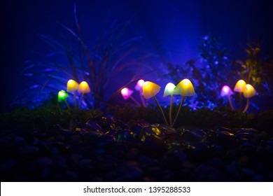 7,270 Glowing mushrooms Images, Stock Photos & Vectors | Shutterstock