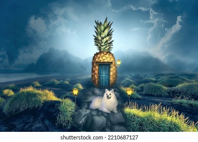 Fantasy House Of A White Dog Simba