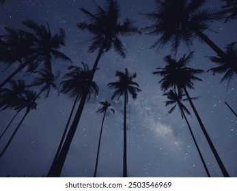 Fantasy landscape of palm tree on beach with milky way. dramatic nifht landscape on a romantic night. - Powered by Shutterstock