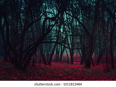 Fantasy magical forest. Stranger winding branches of trees in the mist. Background mysterious atmosphere