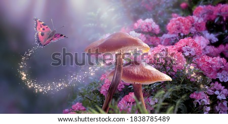 Fantasy Magical Mushrooms and Butterfly in enchanted Fairy Tale dreamy elf Forest with fabulous Fairytale blooming pink Rose Flower on mysterious Nature background and shiny glowing moon rays in night