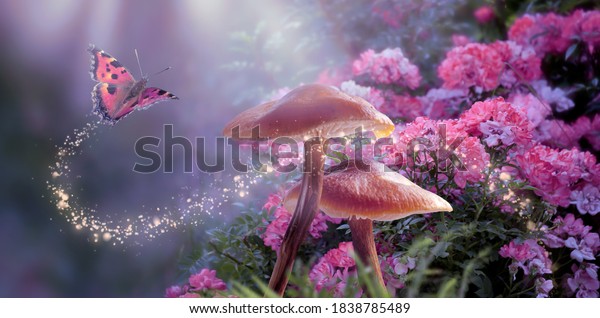 Fantasy Magical Mushrooms and Butterfly in\
enchanted Fairy Tale dreamy elf Forest with fabulous Fairytale\
blooming pink Rose Flower on mysterious Nature background and shiny\
glowing moon rays in\
night