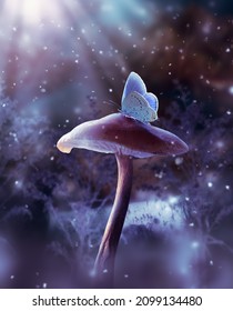 Fantasy mushroom and blue butterfly in fairy tale dreamy elf forest, fabulous fairytale deep dark wood and moon rays in night, mysterious nature background with magical glade in first winter snow. - Shutterstock ID 2099134480