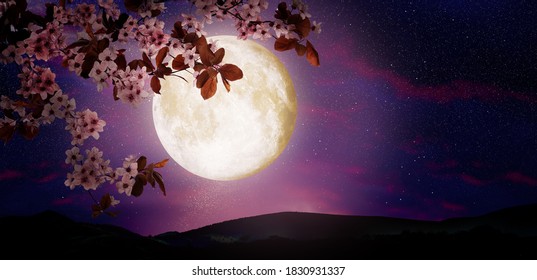 Fantasy night. Blossoming cherry tree branch and starry sky with full moon on background