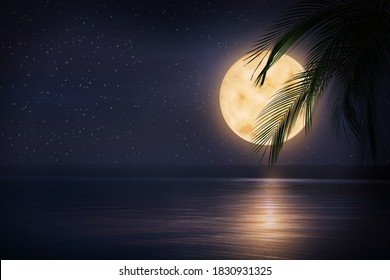 19,322 Full moon sea Images, Stock Photos & Vectors | Shutterstock