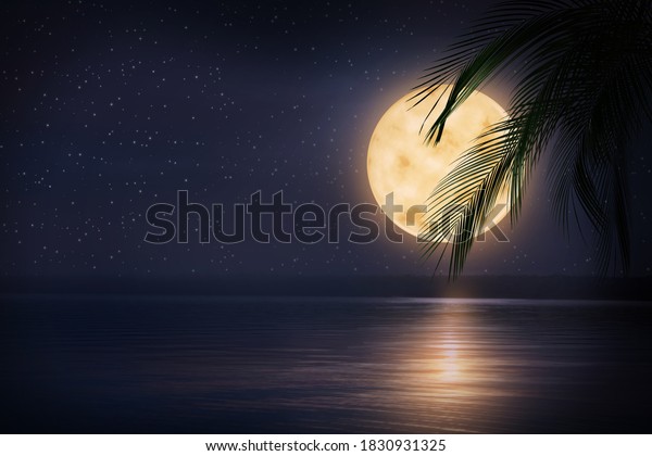 Fantasy night. Palm leaves and full moon in starry\
sky over sea