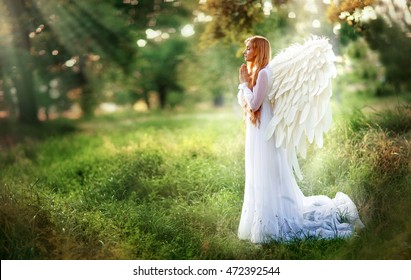 Fantasy photo of beautiful angel in vintage dress standing in god rays praying to a Godfather.Amazing blond girl with long curly hair and white wings standing in sun light.Art work and fairy tale