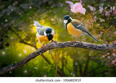 Fantasy Portrait Of two Tit Birds Sitting on tree branch in Magical enchanted Fairy Tale dreamy elf Forest, fabulous Fairytale pink Rose Flower Garden and Cute Songbirds, Spring morning sunshine
