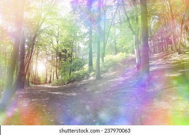 Fantasy Rainbow Bokeh Woodland Woodland Path Stock Photo 237970063 ...