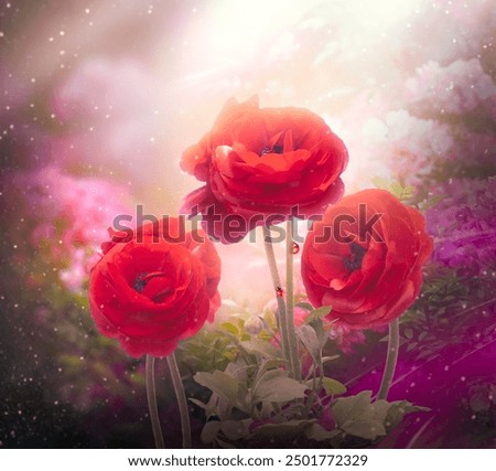 Fantasy red Ranunculus flowers grows in enchanted fairy tale garden, fabulous fairytale blooming plant and ladybugs in magical light on mysterious floral background with shining rays, mystic nature.