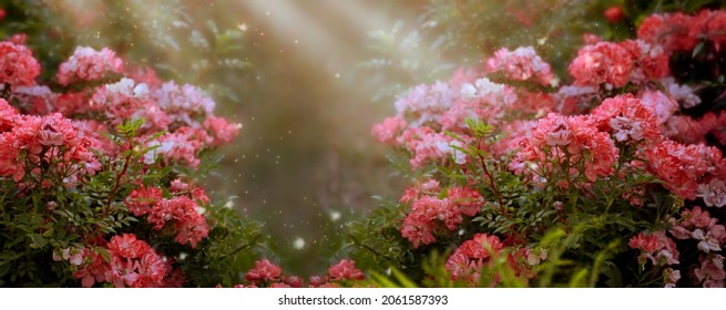Fantasy roses flowers garden in enchanted fairy tale dreamy elf forest with fabulous fairytale blooming lush thickets in early morning on mysterious background, magical wide panoramic banner. - Shutterstock ID 2061587393