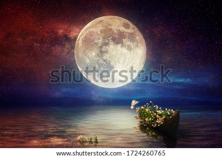 Fantasy starry night sea after sunset, boat full of flowers, pigeon flying, blue red cloudy sky on water wave reflection on horizon skyline nature landscape concept artistic design raster illustration