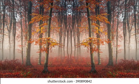 Enchanted Forest Wallpaper Stock Photos Images Photography Shutterstock