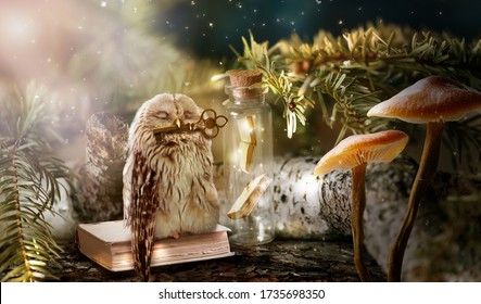 Fantasy wise sleeping owl is the keeper of secrets holds golden key to knowledge in beak in magical mysterious forest with magic mushrooms and books locked in glass bottle
