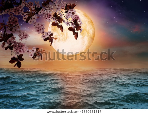 Fantasy world. Blossoming cherry tree branch\
and full moon in starry sky over\
ocean