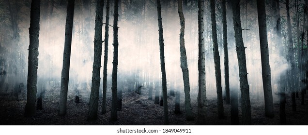 Fantasy World. Creepy Foggy Forest With Tall Trees, Banner Design