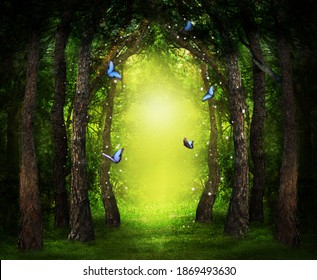 Fantasy world. Enchanted forest with magic lights, beautiful butterflies and way between trees - Shutterstock ID 1869493630