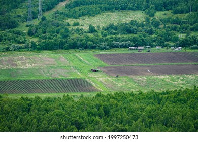 Far Eastern Hectare, Fields With Plantings, Power Lines In Summer
                              