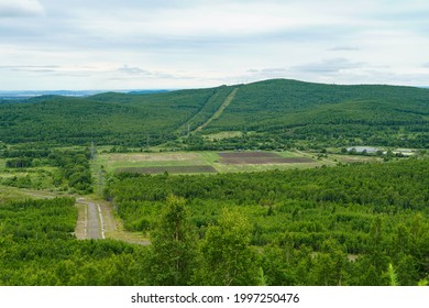 Far Eastern Hectare, Fields With Plantings, Power Lines In Summer
                              