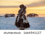 Far North, Yamal Peninsula, a reindeer herder