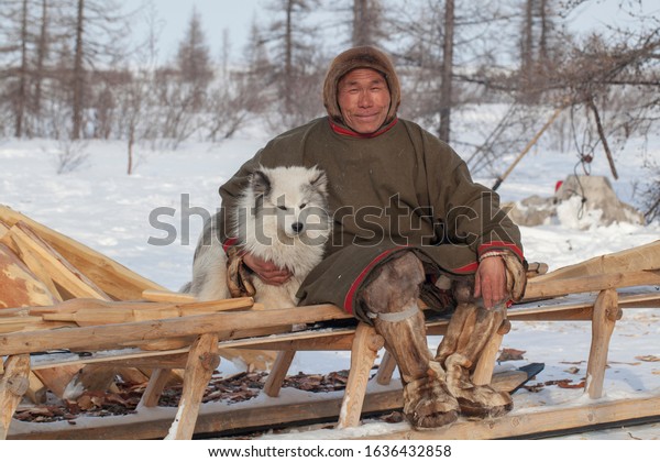 Far north of Yamal, tundra, pasture nord reindeers,\
closeup portrait of Nenets at age, close-up portrait of Nenets in\
national clothes of the peoples of the far north, sitting on a\
sleigh with a dog
