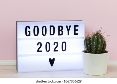 Farewell To A Bad Year 2020. Lightbox With Goodbye Message And Potted Cactus.