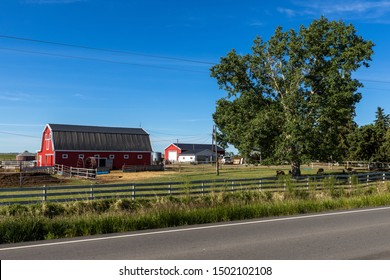 Farm And Agriculture In Alberta Canada	