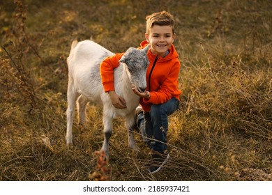 Farm animal. Cute little boy feeding goat on pasture