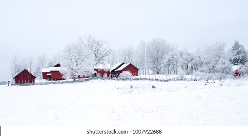 Farm Barn In A Cold Winter Landscape With Snow And Frost