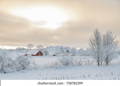 Farm Barn In A Cold Winter Landscape With Snow And Frost