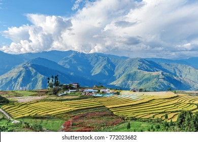 Farm In Bhutan Eastern Mountains Near Trashigang - Eastern Bhutan