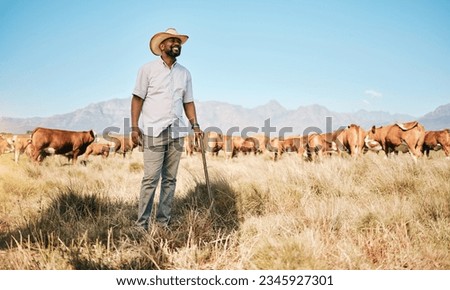 Farm, black man and happy, cow and agriculture for livestock, sustainability and agro business in countryside. Farmer with mission, field and industry, environment with cattle herd and animal outdoor