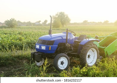 A Farm Blue Tractor Stands On The Field. Breakage During Harvesting. Maintenance And Repair Of Equipment And Machines. Farming And Farmland. Harvesting Potatoes In Autumn. Countryside.