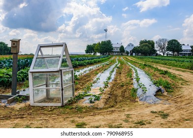 Farm Buildings In Amish Country In Pennsylvania, USA