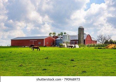 Farm Buildings In Amish Country In Pennsylvania, USA