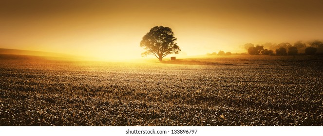 A Farm In The Clare Valley, South Australia