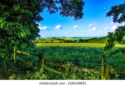 Farm fence on the field in summer. Grassland on summer farmland. Summer countryside landscape. Farm fence on grassland farm
