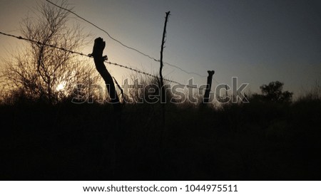 Similar – Image, Stock Photo woidmannsdank Hunter