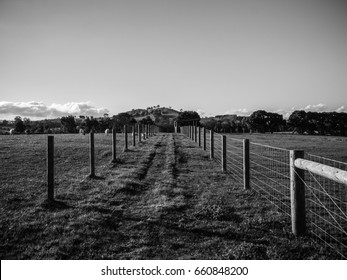 Farm Fencing Land