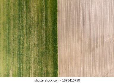 Farm Field, Agriculture, View From Above